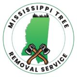 Profile picture of mississippitreeremovalservice on Gweb